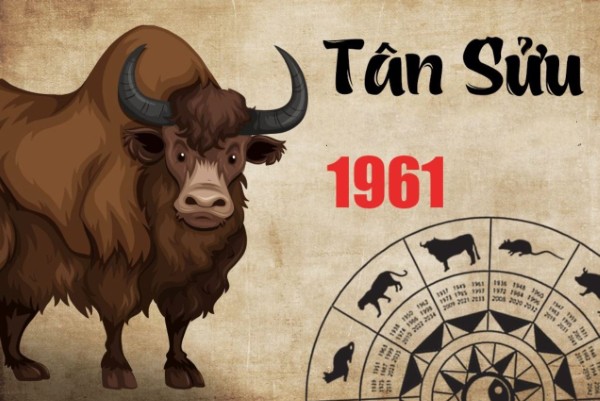 Tổng quan phong thủy tuổi Tân Sửu 1961