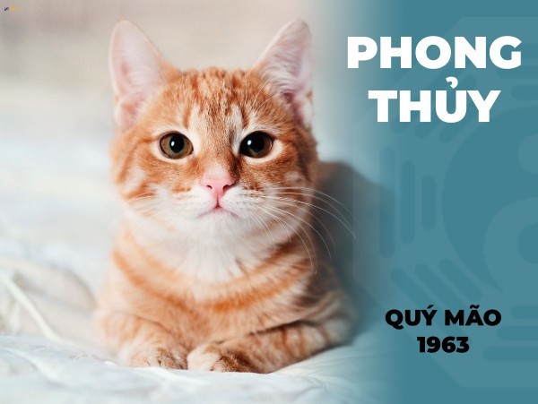 Lưu ý chuyên sâu từ chuyên gia phong thủy dành cho người tuổi Quý Mão 1963