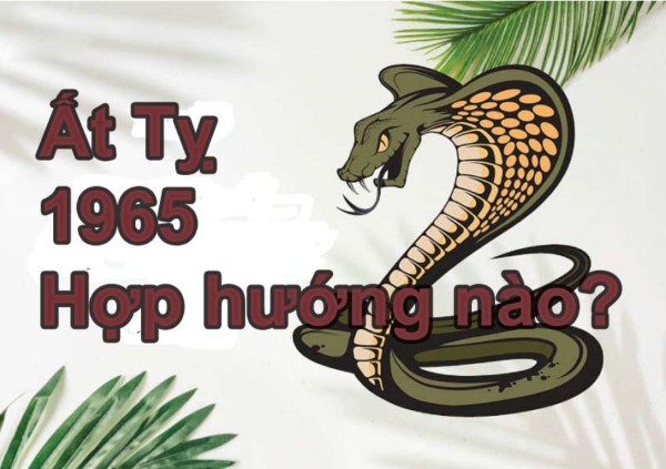 Tuổi Ất Tỵ 1965 hợp hướng nào?