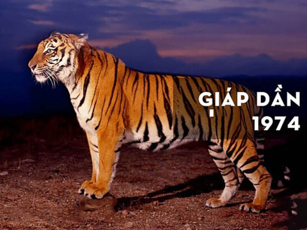 Tổng quan phong thủy tuổi Giáp Dần 1974