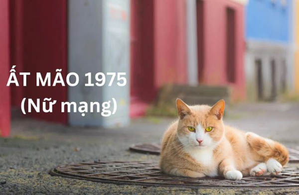 Hướng phong thủy tốt cho tuổi Ất Mão 1975 nữ mạng