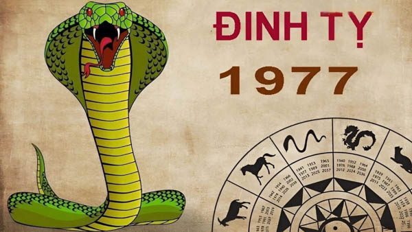 Tổng quan phong thủy tuổi Đinh Tỵ 1977