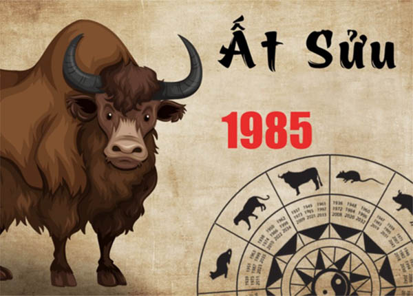 Tổng quan tuổi Ất Sửu 1985 theo phong thủy