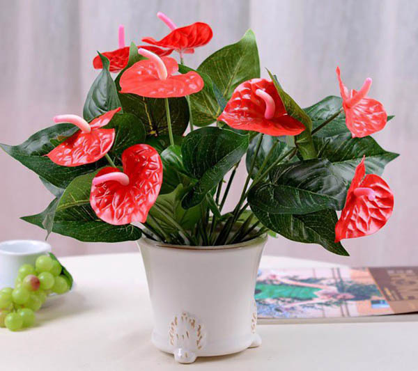 Hồng môn giúp hóa giải các hướng xấu cho tuổi Bính Dần
