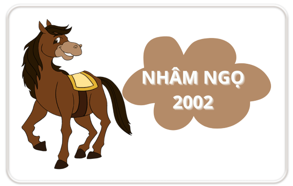2002 kỵ hướng nào?