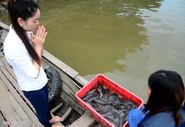 Liệt kê nhanh các trường hợp nên cúng phóng sinh tại nhà