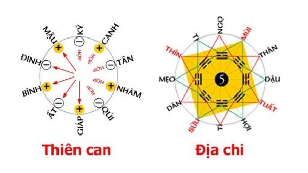 Âm Dương trong Địa Chi và mối quan hệ ngũ hành