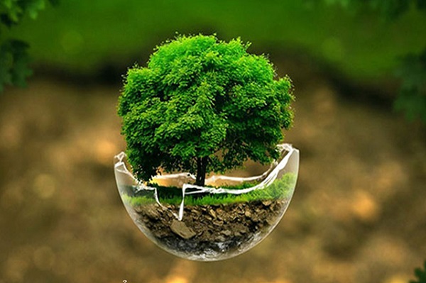 Hành Mộc đại diện cho sự khởi đầu, sự sống và sức tăng trưởng