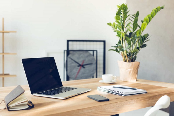 Vị trí đặt cây phong thủy tại bàn làm việc
