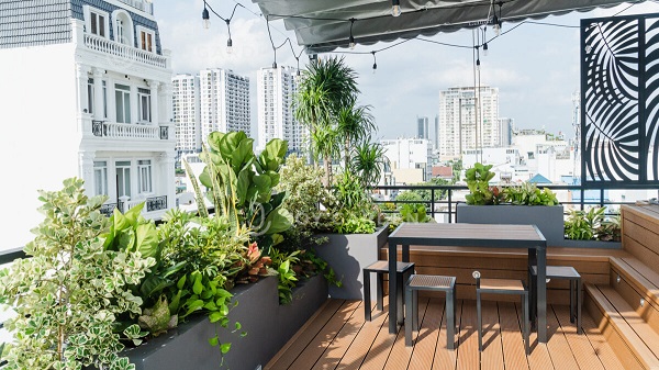 Lựa chọn cây theo hướng ban công