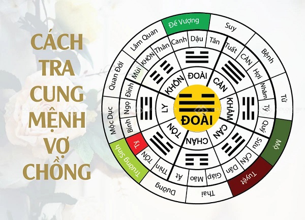 Cung mệnh và sự tương hợp trong hôn nhân