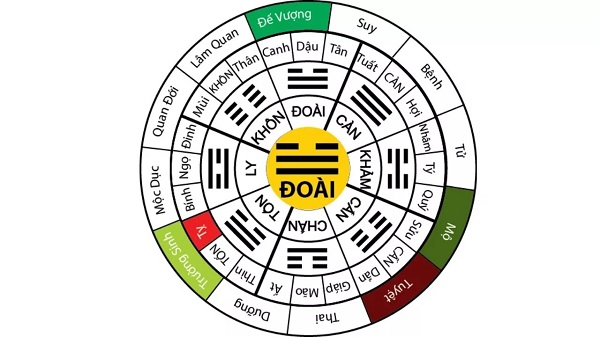 Cung mệnh là một yếu tố cốt lõi trong tử vi đẩu số, đặc biệt là trong văn hóa phương Đông