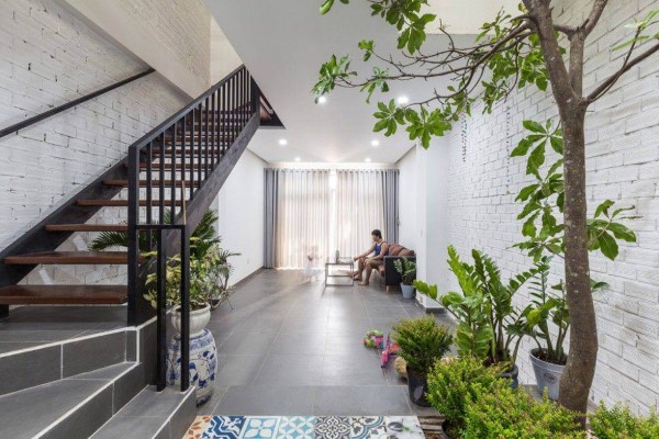 Tổng quan người mệnh Mộc và yếu tố phong thủy
