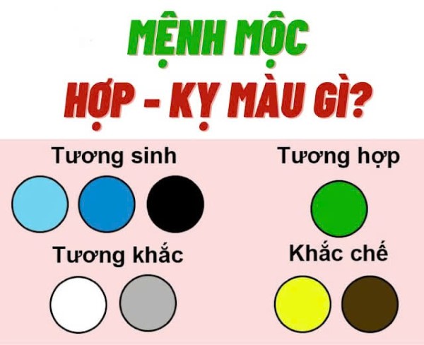 Mệnh Mộc kỵ màu gì?