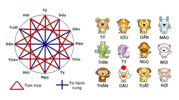 Chi tiết nhóm tam hợp trong 12 con giáp