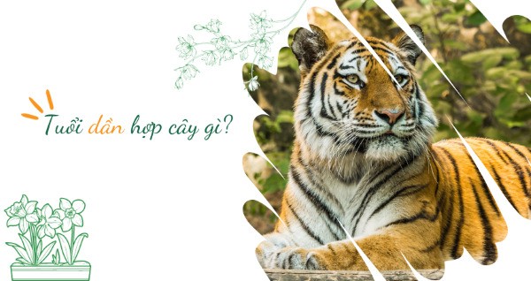Tuổi Dần hợp cây gì? Gợi ý cây trồng giúp gia chủ may mắn và phát đạt