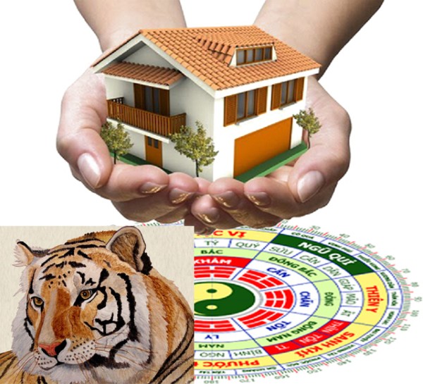Lưu ý khi chọn hướng nhà cho người tuổi Dần